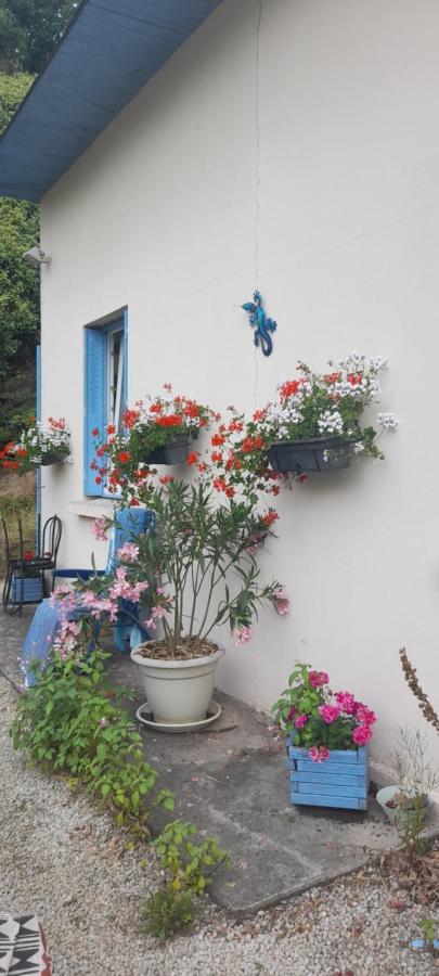 La Petite Maison Bleue Leilighet Jugon-les-Lacs Eksteriør bilde